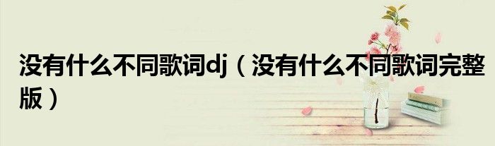 沒有什么不同歌詞dj（沒有什么不同歌詞完整版）