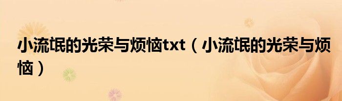 小流氓的光榮與煩惱txt（小流氓的光榮與煩惱）