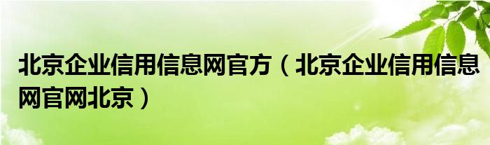 北京企業(yè)信用信息網(wǎng)官方（北京企業(yè)信用信息網(wǎng)官網(wǎng)北京）