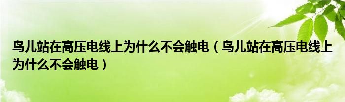 鳥兒站在高壓電線上為什么不會觸電（鳥兒站在高壓電線上為什么不會觸電）