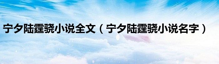 寧夕陸霆驍小說全文（寧夕陸霆驍小說名字）