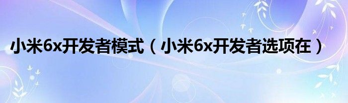 小米6x開發(fā)者模式（小米6x開發(fā)者選項(xiàng)在）