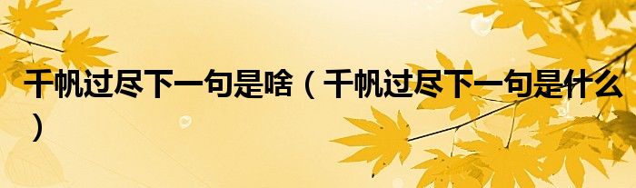 千帆過盡下一句是啥（千帆過盡下一句是什么）