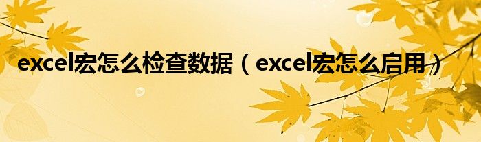 excel宏怎么檢查數(shù)據(jù)（excel宏怎么啟用）