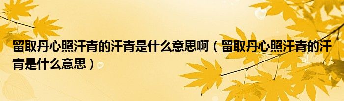 留取丹心照汗青的汗青是什么意思?。羧〉ば恼蘸骨嗟暮骨嗍鞘裁匆馑迹?class='thumb lazy' /></a>
		    <header>
		<h2><a  href=