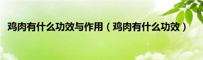 雞肉有什么功效與作用（雞肉有什么功效）