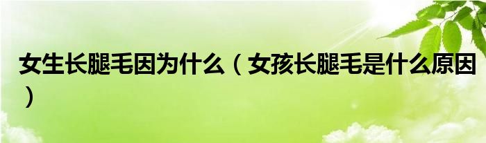 女生長(zhǎng)腿毛因?yàn)槭裁矗ㄅ㈤L(zhǎng)腿毛是什么原因）