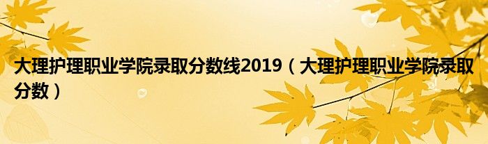 大理護(hù)理職業(yè)學(xué)院錄取分?jǐn)?shù)線2019（大理護(hù)理職業(yè)學(xué)院錄取分?jǐn)?shù)）