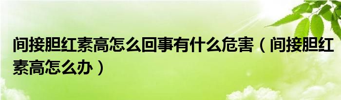 間接膽紅素高怎么回事有什么危害（間接膽紅素高怎么辦）