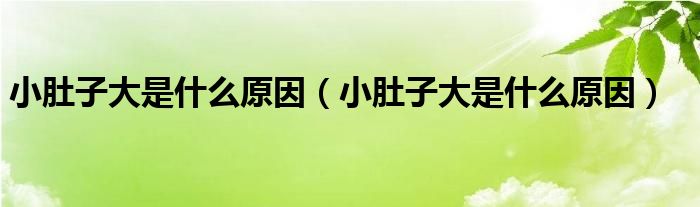 小肚子大是什么原因（小肚子大是什么原因）