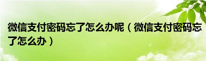 微信支付密碼忘了怎么辦呢（微信支付密碼忘了怎么辦）