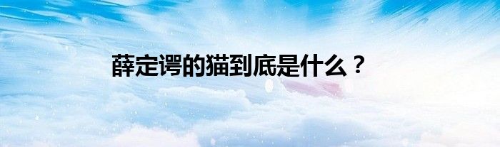 薛定諤的貓到底是什么？