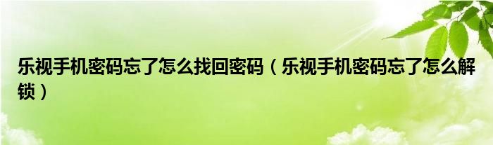 樂視手機密碼忘了怎么找回密碼（樂視手機密碼忘了怎么解鎖）