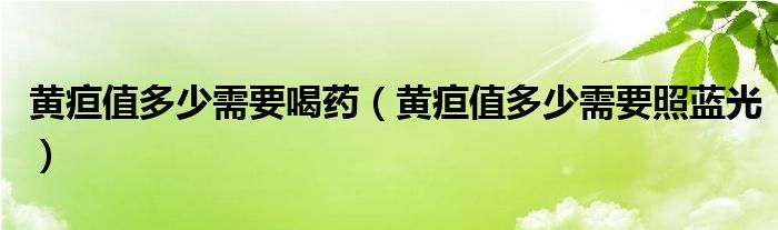 黃疸值多少需要喝藥（黃疸值多少需要照藍(lán)光）