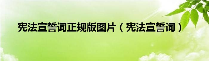 憲法宣誓詞正規(guī)版圖片（憲法宣誓詞）