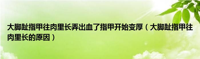 大腳趾指甲往肉里長弄出血了指甲開始變厚（大腳趾指甲往肉里長的原因）