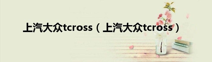 上汽大眾tcross（上汽大眾tcross）