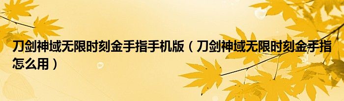 刀劍神域無(wú)限時(shí)刻金手指手機(jī)版（刀劍神域無(wú)限時(shí)刻金手指怎么用）