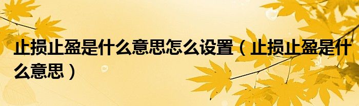 止損止盈是什么意思怎么設(shè)置（止損止盈是什么意思）