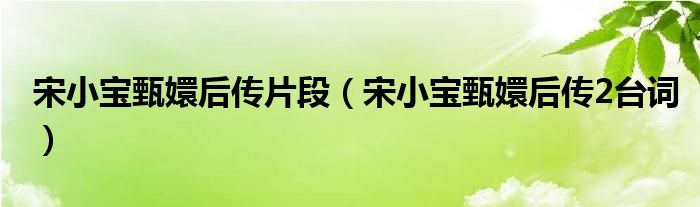 宋小寶甄嬛后傳片段（宋小寶甄嬛后傳2臺(tái)詞）