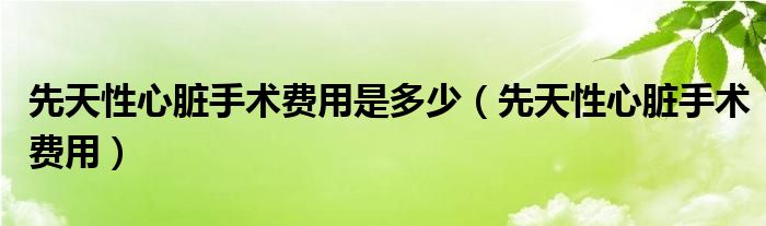 先天性心臟手術費用是多少（先天性心臟手術費用）