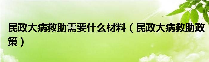 民政大病救助需要什么材料（民政大病救助政策）