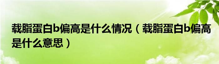 載脂蛋白b偏高是什么情況（載脂蛋白b偏高是什么意思）