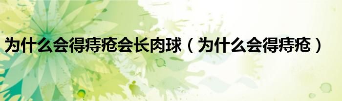 為什么會(huì)得痔瘡會(huì)長(zhǎng)肉球（為什么會(huì)得痔瘡）