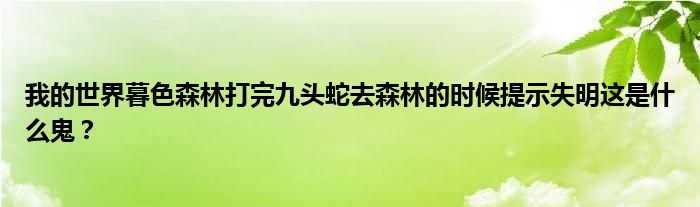 我的世界暮色森林打完九頭蛇去森林的時候提示失明這是什么鬼？