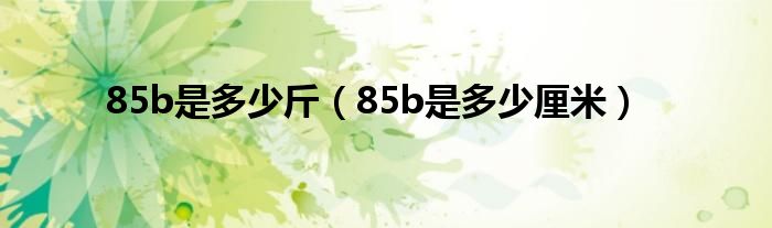 85b是多少斤（85b是多少厘米）