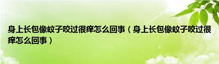 身上長(zhǎng)包像蚊子咬過(guò)很癢怎么回事（身上長(zhǎng)包像蚊子咬過(guò)很癢怎么回事）