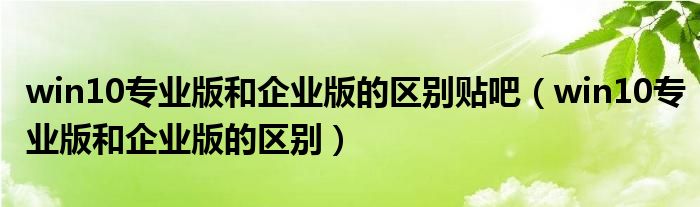 win10專業(yè)版和企業(yè)版的區(qū)別貼吧（win10專業(yè)版和企業(yè)版的區(qū)別）