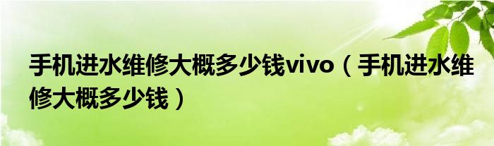 手機進(jìn)水維修大概多少錢vivo（手機進(jìn)水維修大概多少錢）