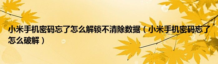 小米手機(jī)密碼忘了怎么解鎖不清除數(shù)據(jù)（小米手機(jī)密碼忘了怎么破解）