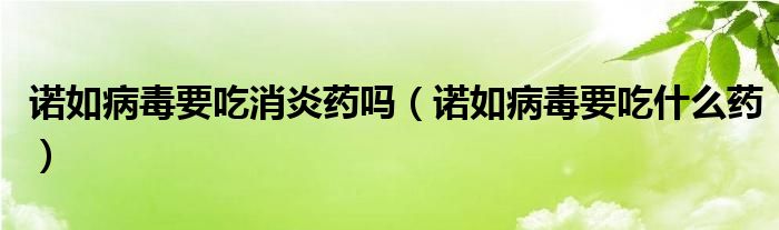 諾如病毒要吃消炎藥嗎（諾如病毒要吃什么藥）