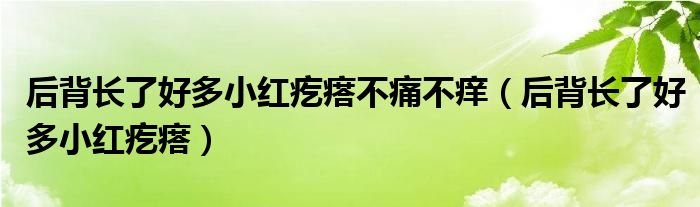 后背長(zhǎng)了好多小紅疙瘩不痛不癢（后背長(zhǎng)了好多小紅疙瘩）