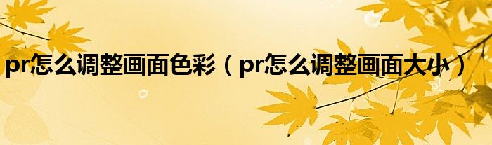 pr怎么調(diào)整畫(huà)面色彩（pr怎么調(diào)整畫(huà)面大小）