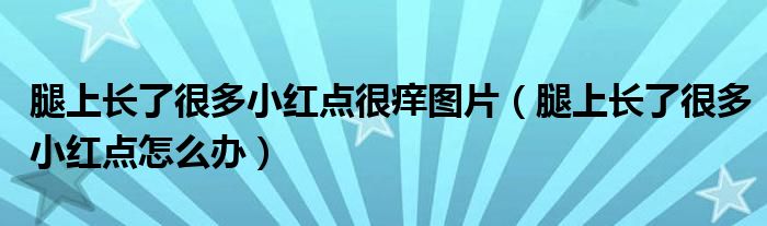 腿上長(zhǎng)了很多小紅點(diǎn)很癢圖片（腿上長(zhǎng)了很多小紅點(diǎn)怎么辦）