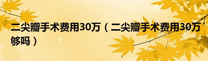 二尖瓣手術(shù)費(fèi)用30萬（二尖瓣手術(shù)費(fèi)用30萬夠嗎）