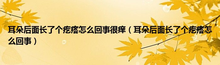 耳朵后面長(zhǎng)了個(gè)疙瘩怎么回事很癢（耳朵后面長(zhǎng)了個(gè)疙瘩怎么回事）