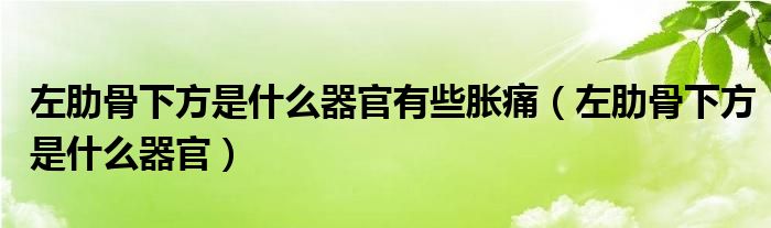 左肋骨下方是什么器官有些脹痛（左肋骨下方是什么器官）