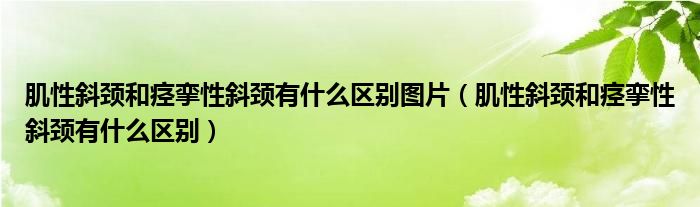 肌性斜頸和痙攣性斜頸有什么區(qū)別圖片（肌性斜頸和痙攣性斜頸有什么區(qū)別）