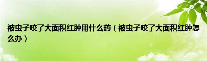 被蟲子咬了大面積紅腫用什么藥（被蟲子咬了大面積紅腫怎么辦）