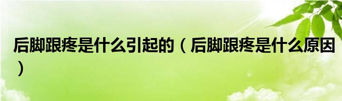 后腳跟疼是什么引起的（后腳跟疼是什么原因）