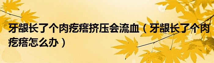 牙齦長了個肉疙瘩擠壓會流血（牙齦長了個肉疙瘩怎么辦）