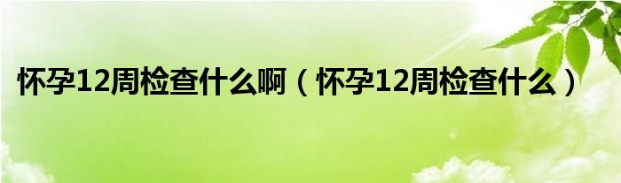 懷孕12周檢查什么啊（懷孕12周檢查什么）