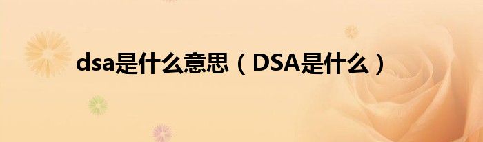 dsa是什么意思（DSA是什么）