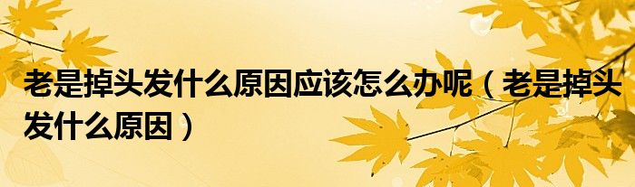 老是掉頭發(fā)什么原因應(yīng)該怎么辦呢（老是掉頭發(fā)什么原因）