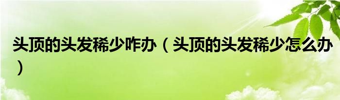 頭頂?shù)念^發(fā)稀少咋辦（頭頂?shù)念^發(fā)稀少怎么辦）