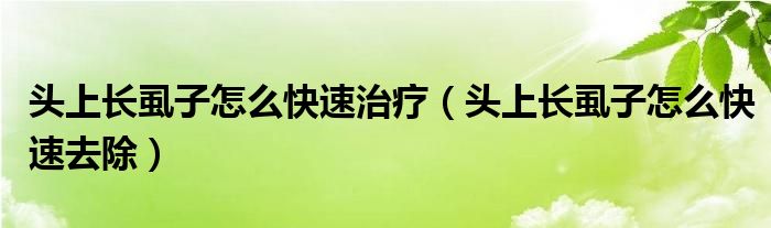 頭上長虱子怎么快速治療（頭上長虱子怎么快速去除）